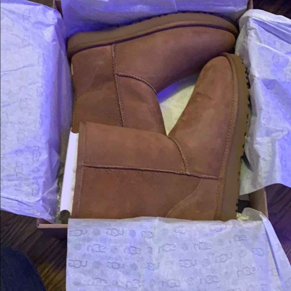 Brand new, never worn Uggs!